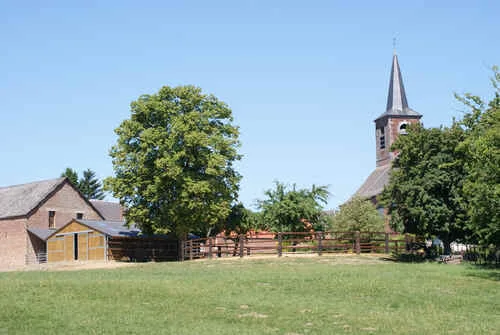 Pension Canine de Mormal - Hainaut pet otel görseli 3