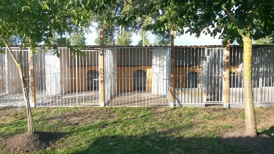 Pension Diablotin Dog - Hainaut pet otel görseli 2