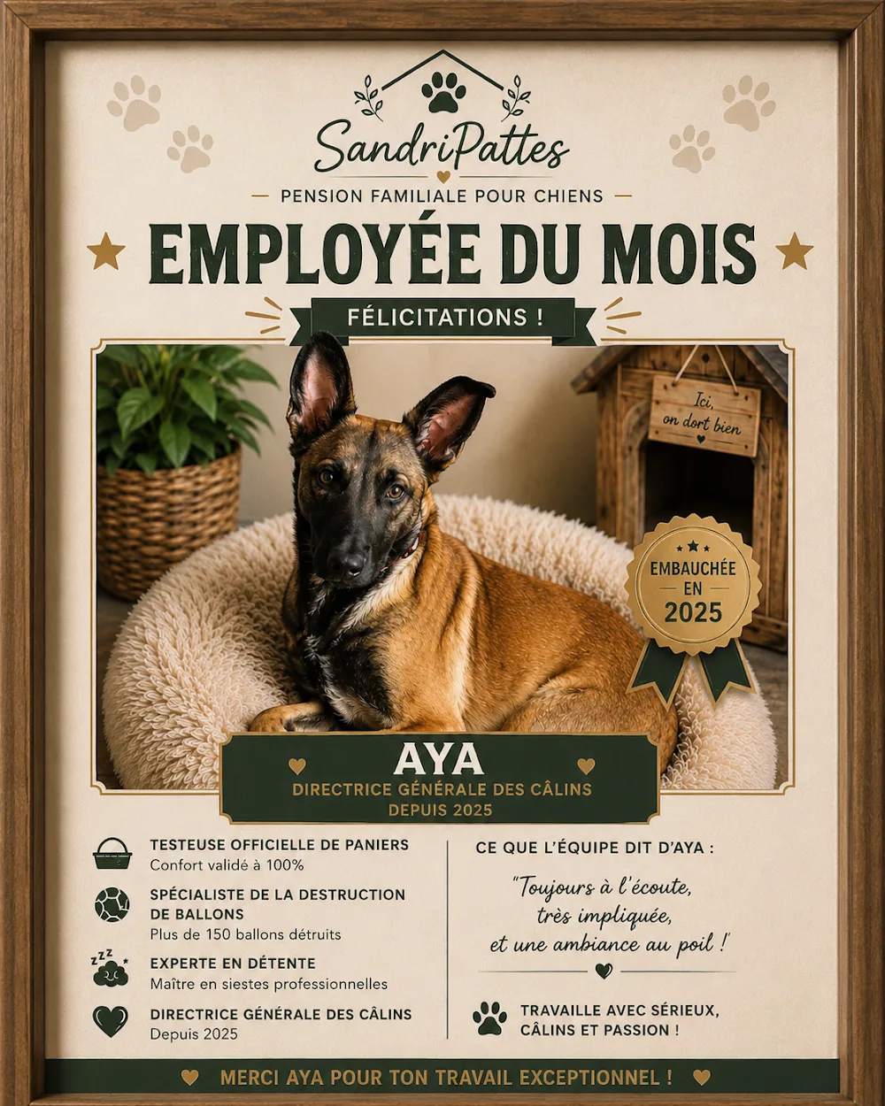 SandriPattes Les patounes du Hainaut - Hainaut pet otel
