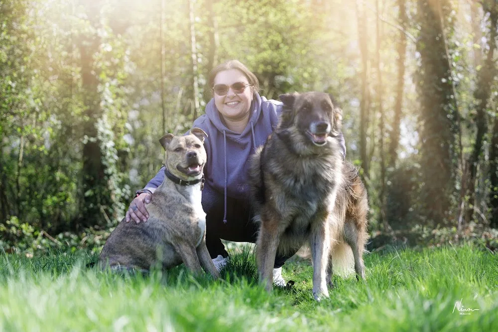 Taillieu Elodie- Educateur comportementaliste -Service de garde d'animaux - Hainaut pet otel görseli 2