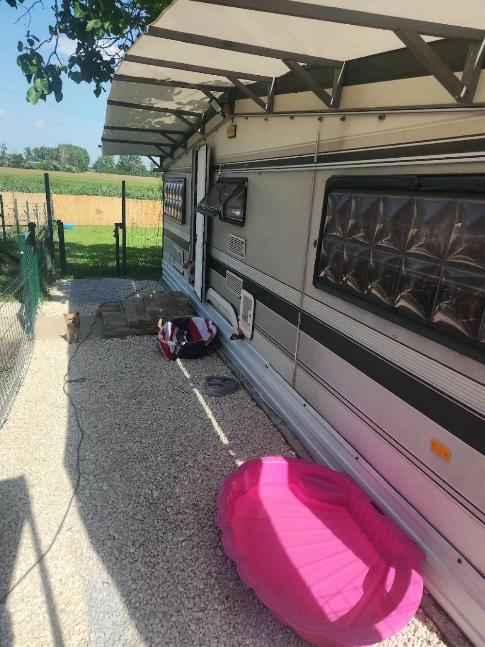 Tiszavirág Kutyapanzió - Hajdú-Bihar County pet otel görseli 2