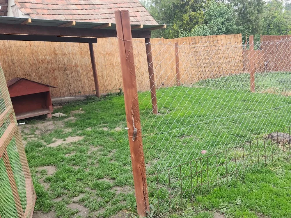 Tiszavirág Kutyapanzió - Hajdú-Bihar County pet otel görseli 7