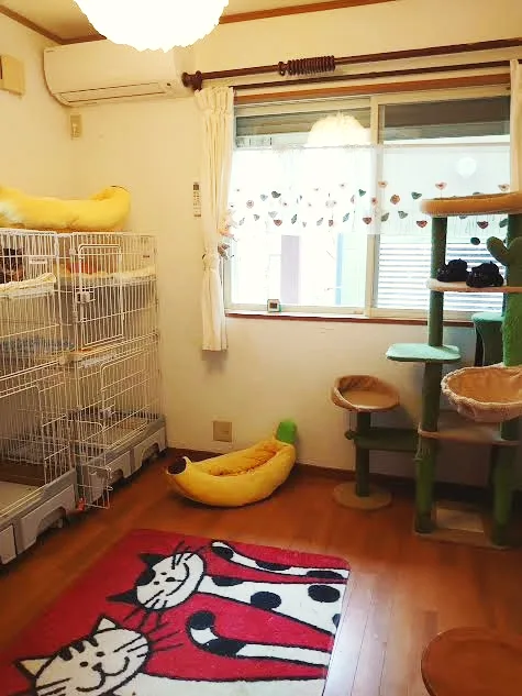 Cat Resort にゃん小町 - Hakone pet otel
