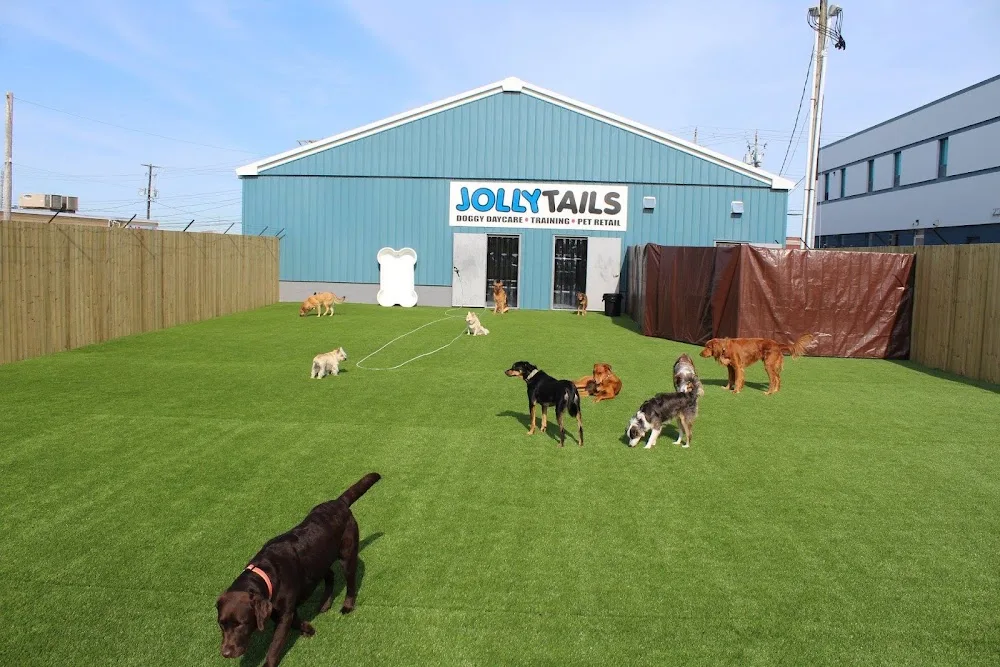 Jollytails Lady Hammond - Halifax pet otel