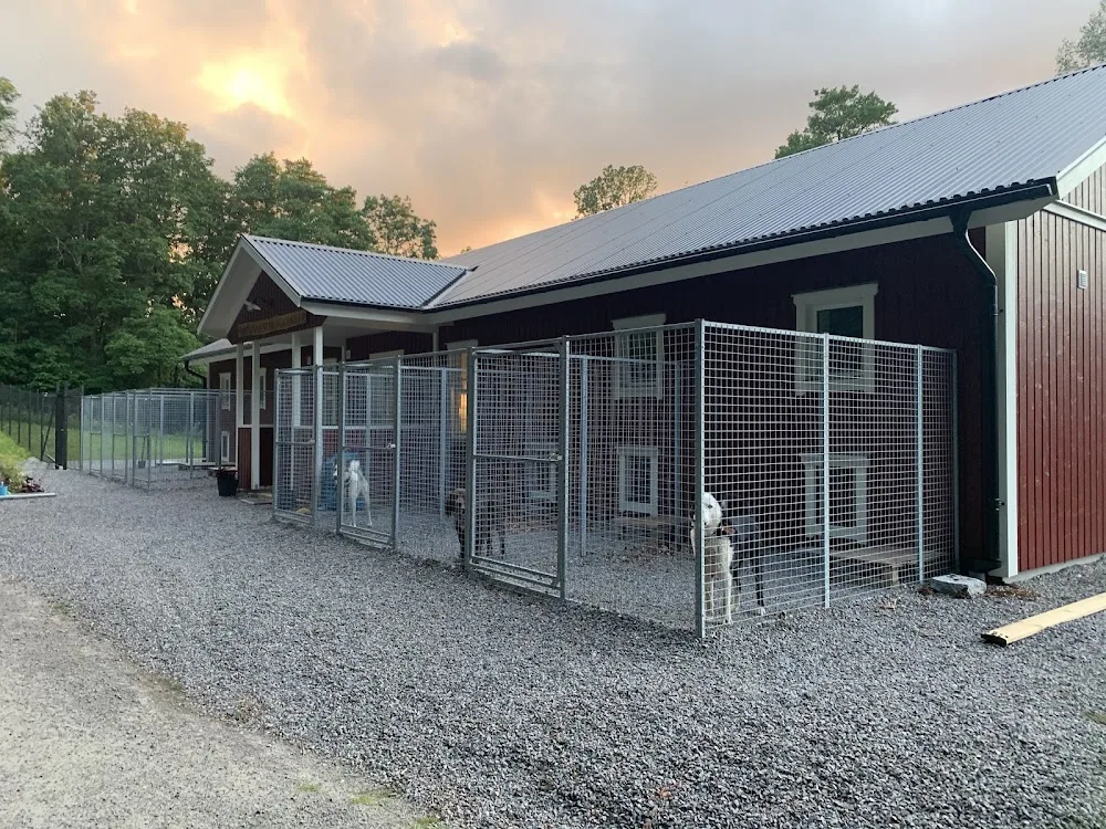 Forsakvarns Hundpensionat - Halland pet otel görseli 3