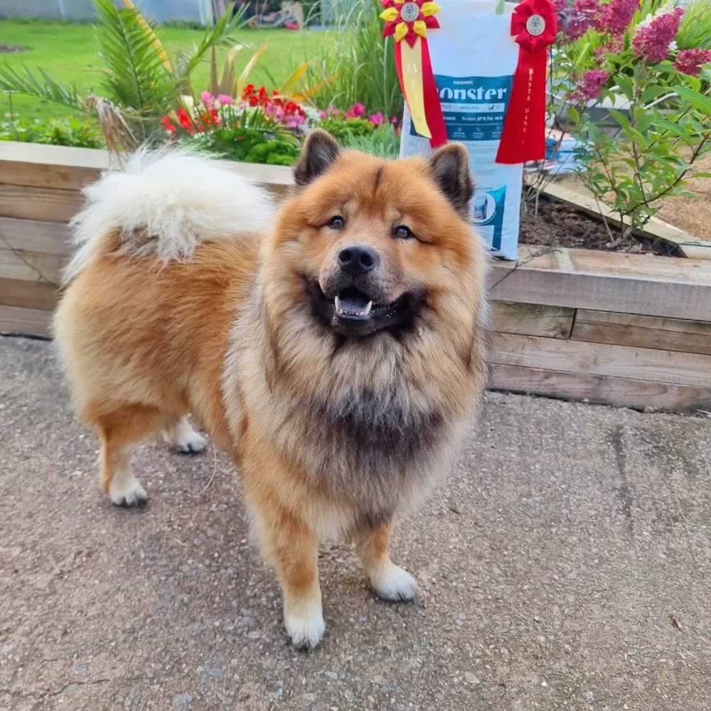 Fridlyckans Kennel - Halland pet otel