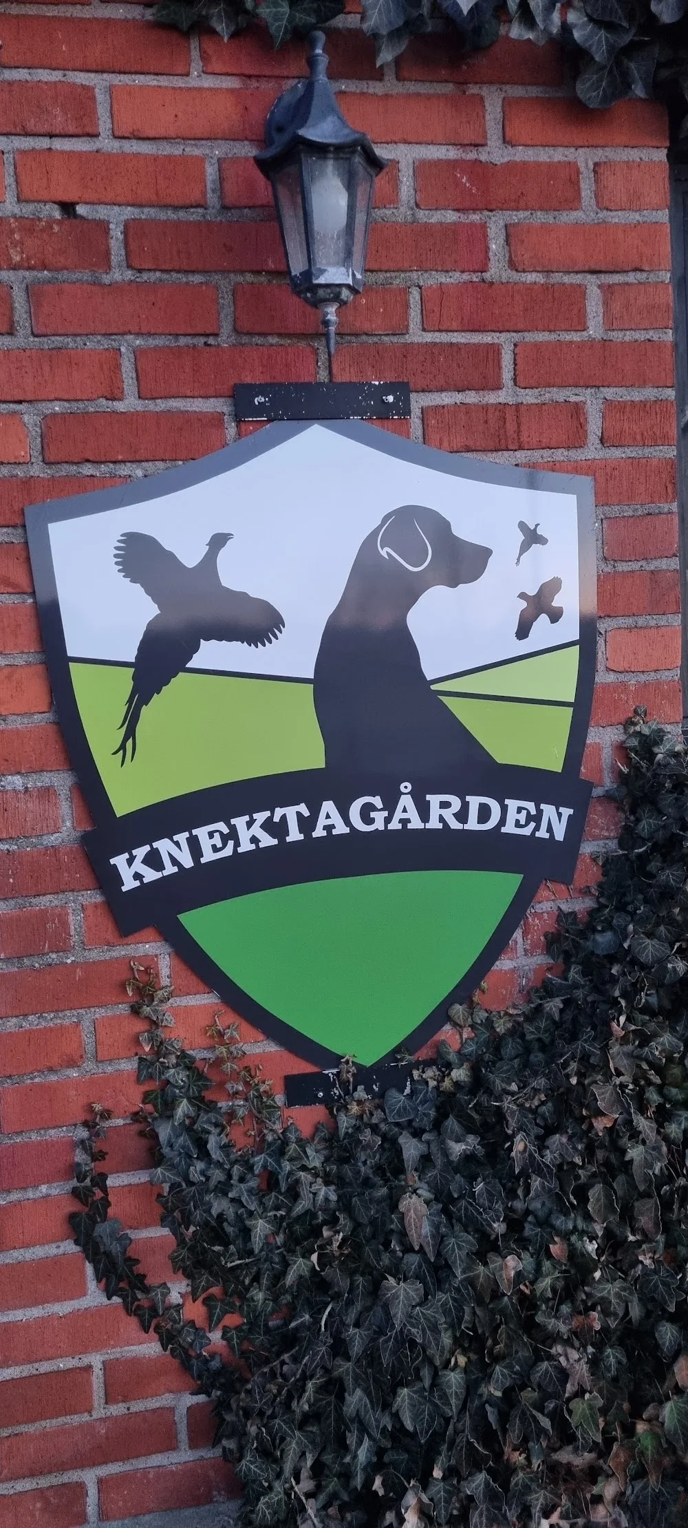 Knektagårdens hundpensionat - Halland pet otel görseli 3