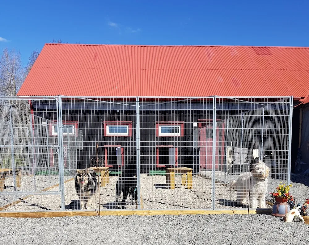 Liljedals hundpensionat - Halland pet otel