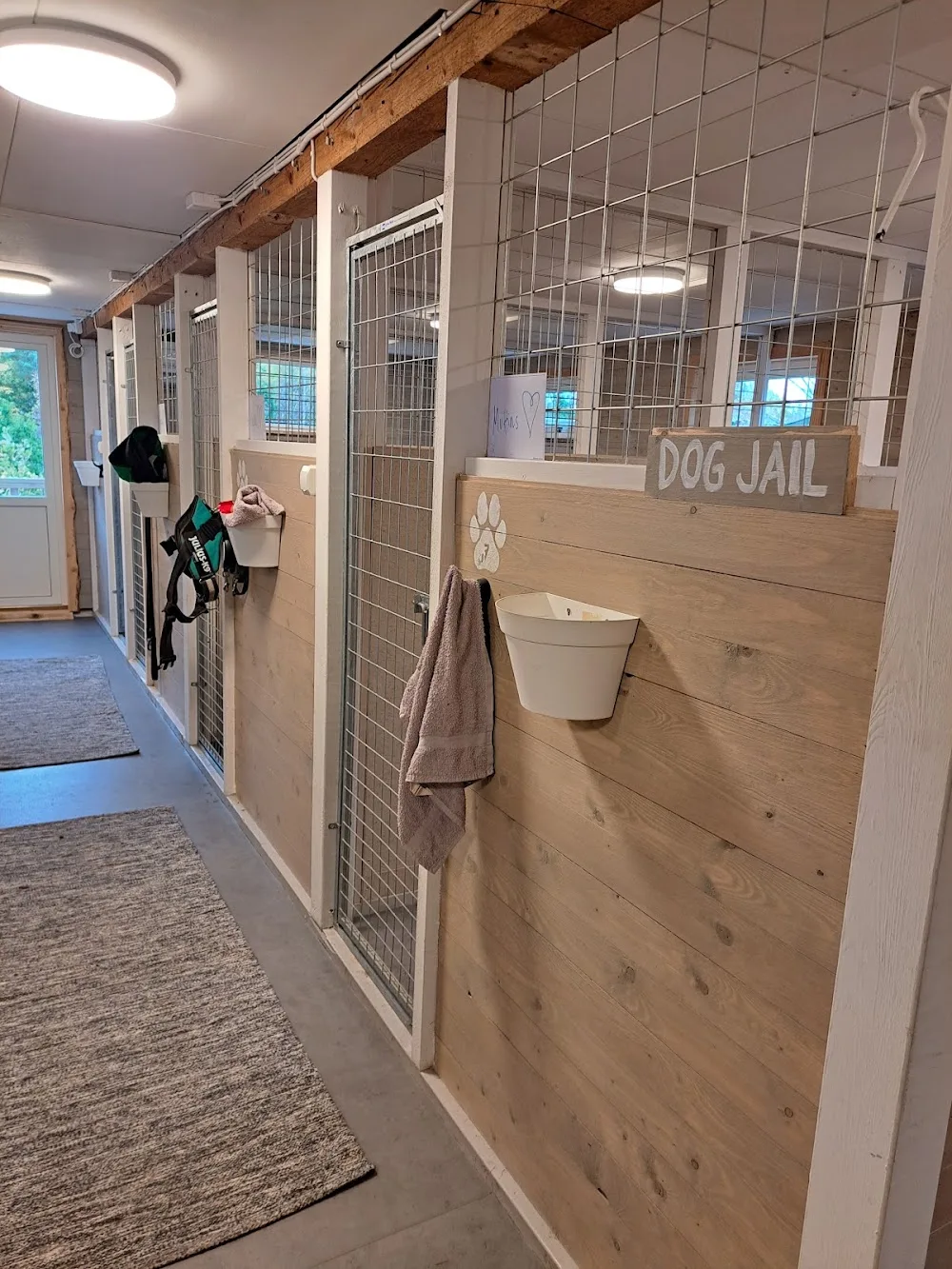 Liljedals hundpensionat - Halland pet otel görseli 3