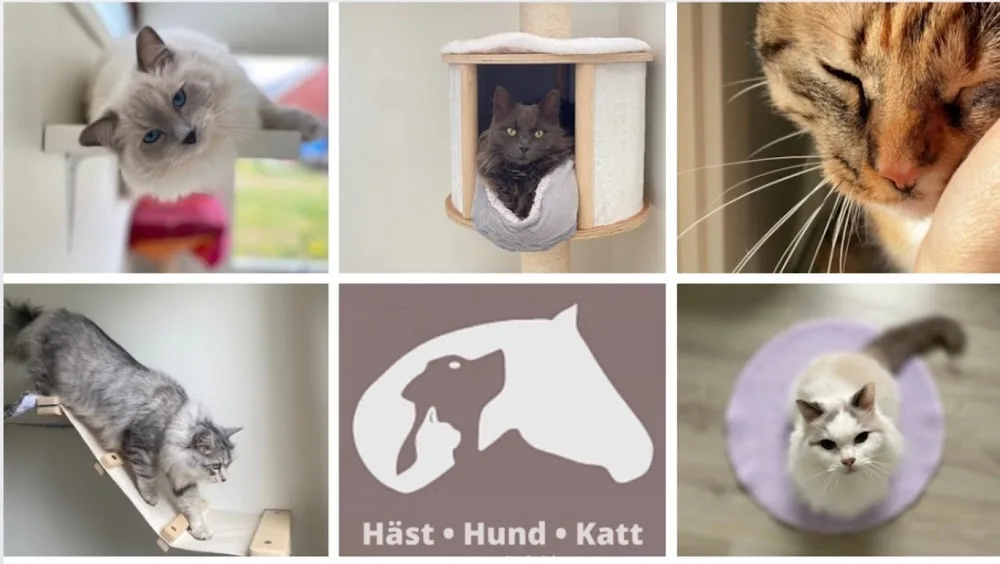 Mariedals Hundpensionat, Kattpensionat & Hästverksamhet - Halland pet otel görseli 3