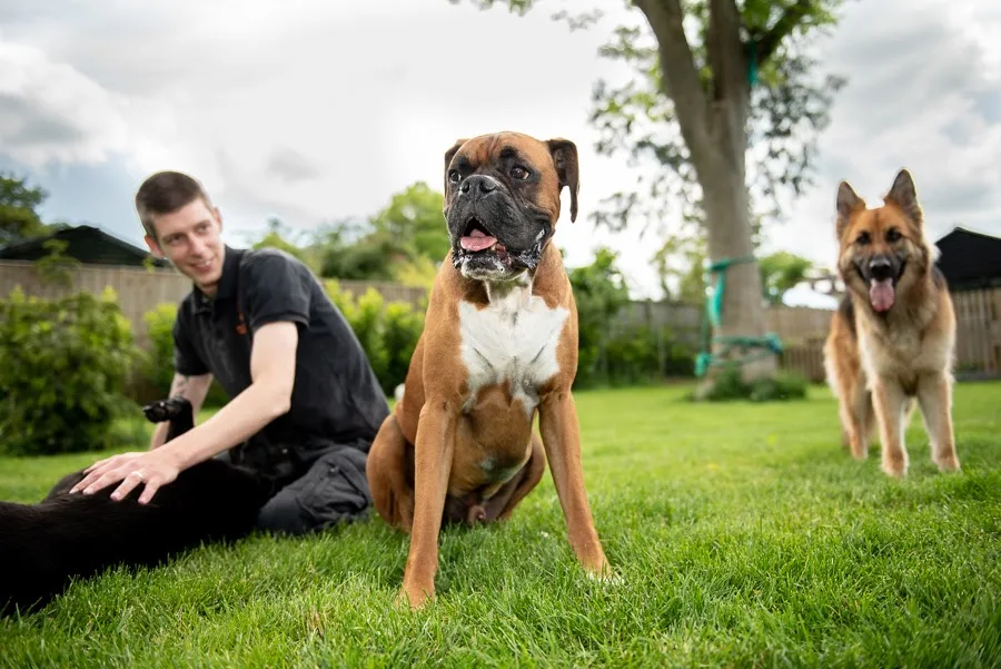 Buckinghamshire Dog Daycare & Home Boarding - Halton pet otel görseli 3