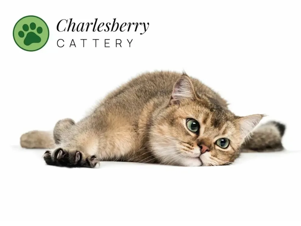 Charlesberry Cattery - Halton pet otel