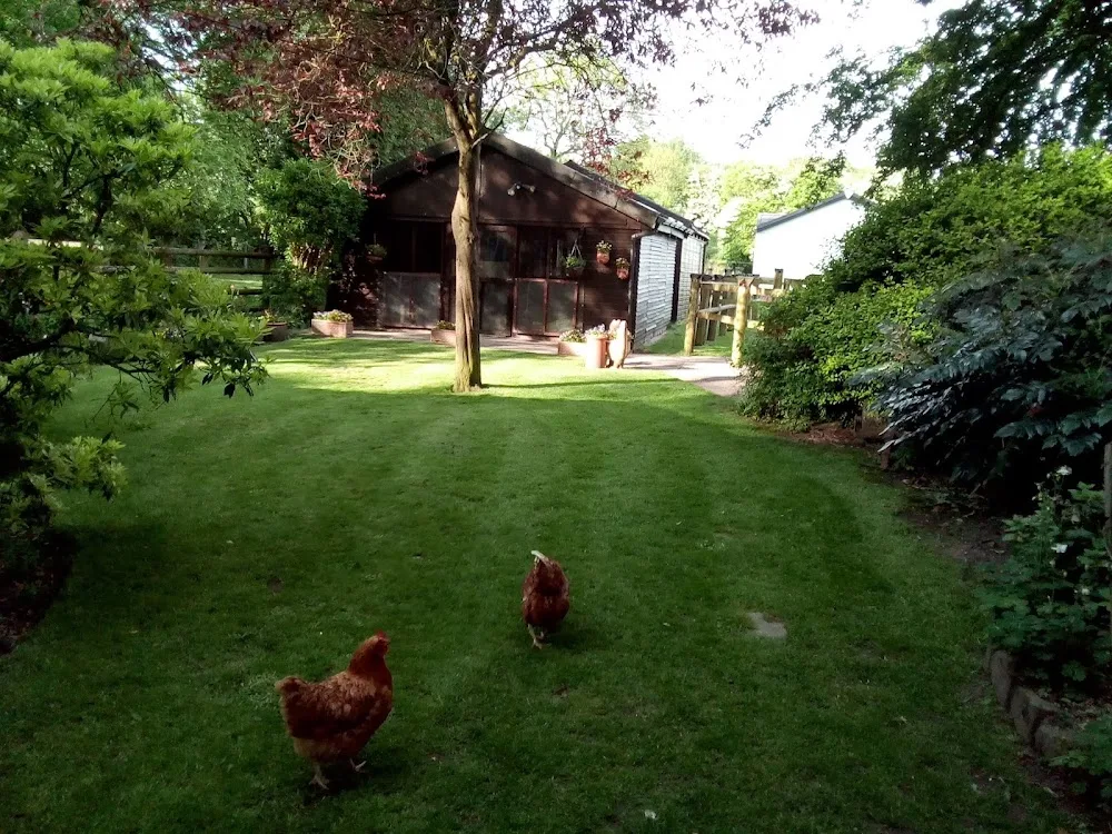 Heaton Mersey Boarding Cattery - Halton pet otel