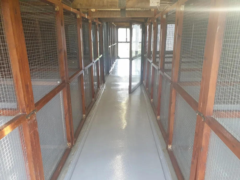 Heaton Mersey Boarding Cattery - Halton pet otel görseli 3
