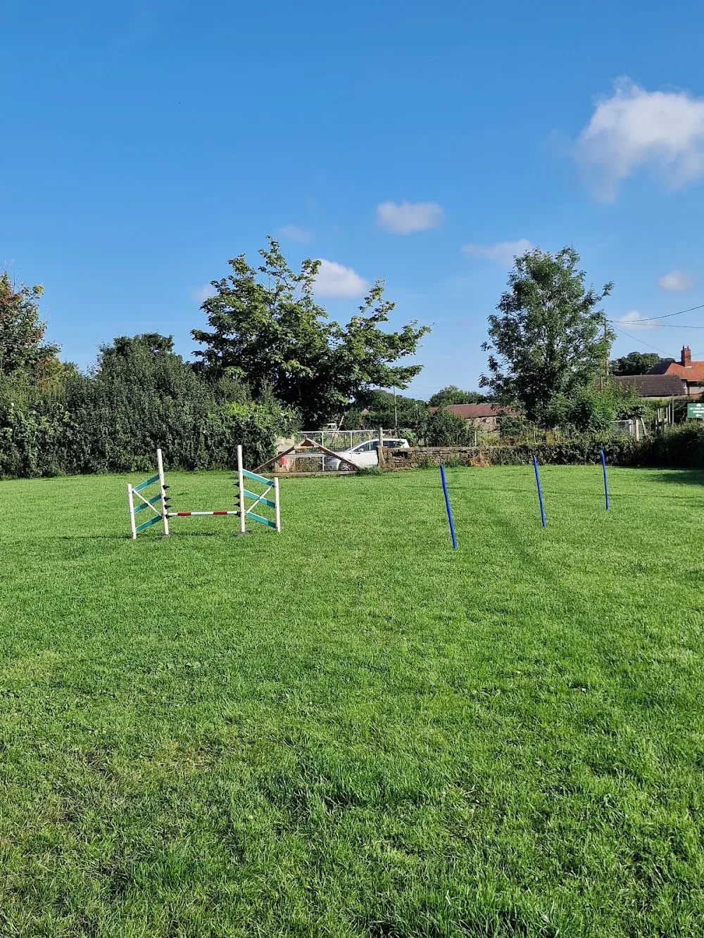 Ivy Boarding Kennels & Cattery - Halton pet otel