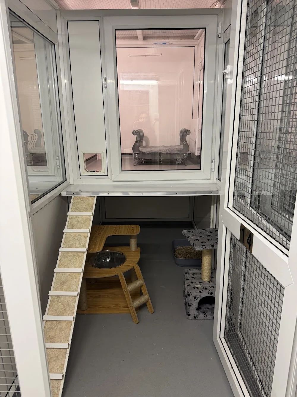 Platinum cat hotel 5* luxury cattery - Halton pet otel görseli 3