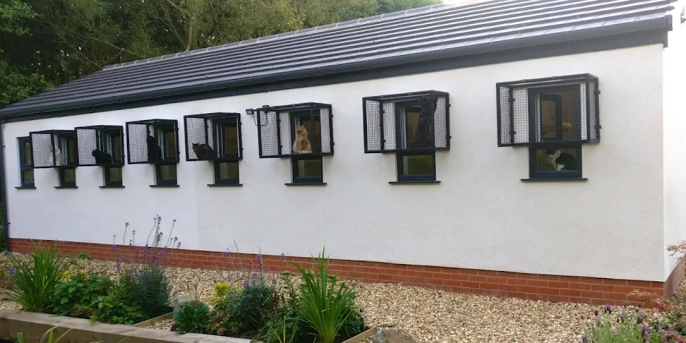 The Great Catsby - Luxury Cat Hotel - Halton pet otel