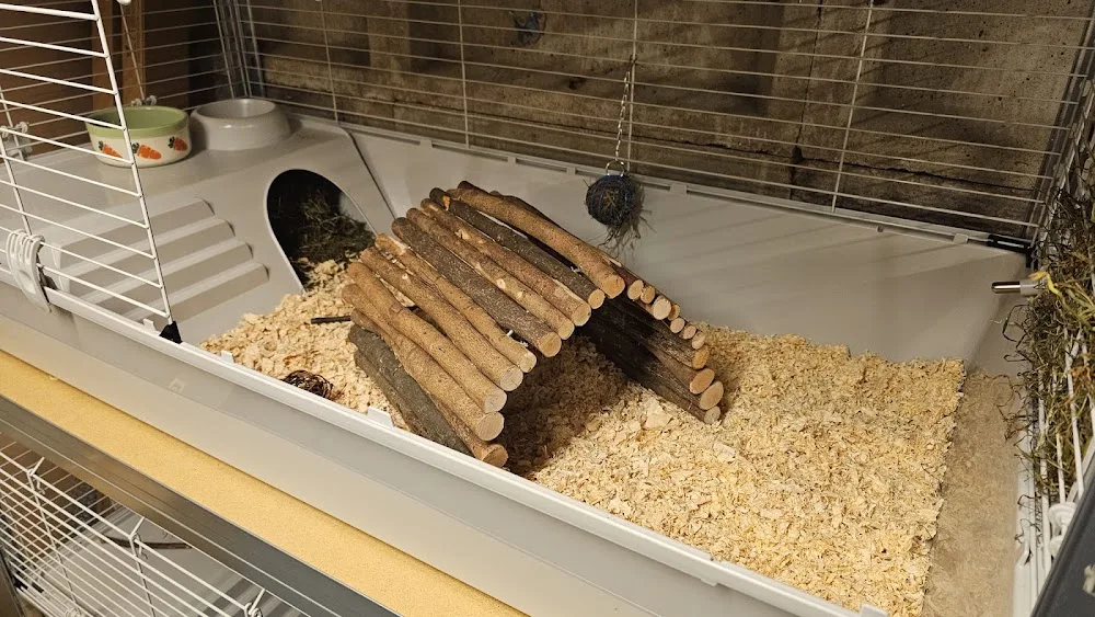 Tiny Tails Boarding - Halton pet otel