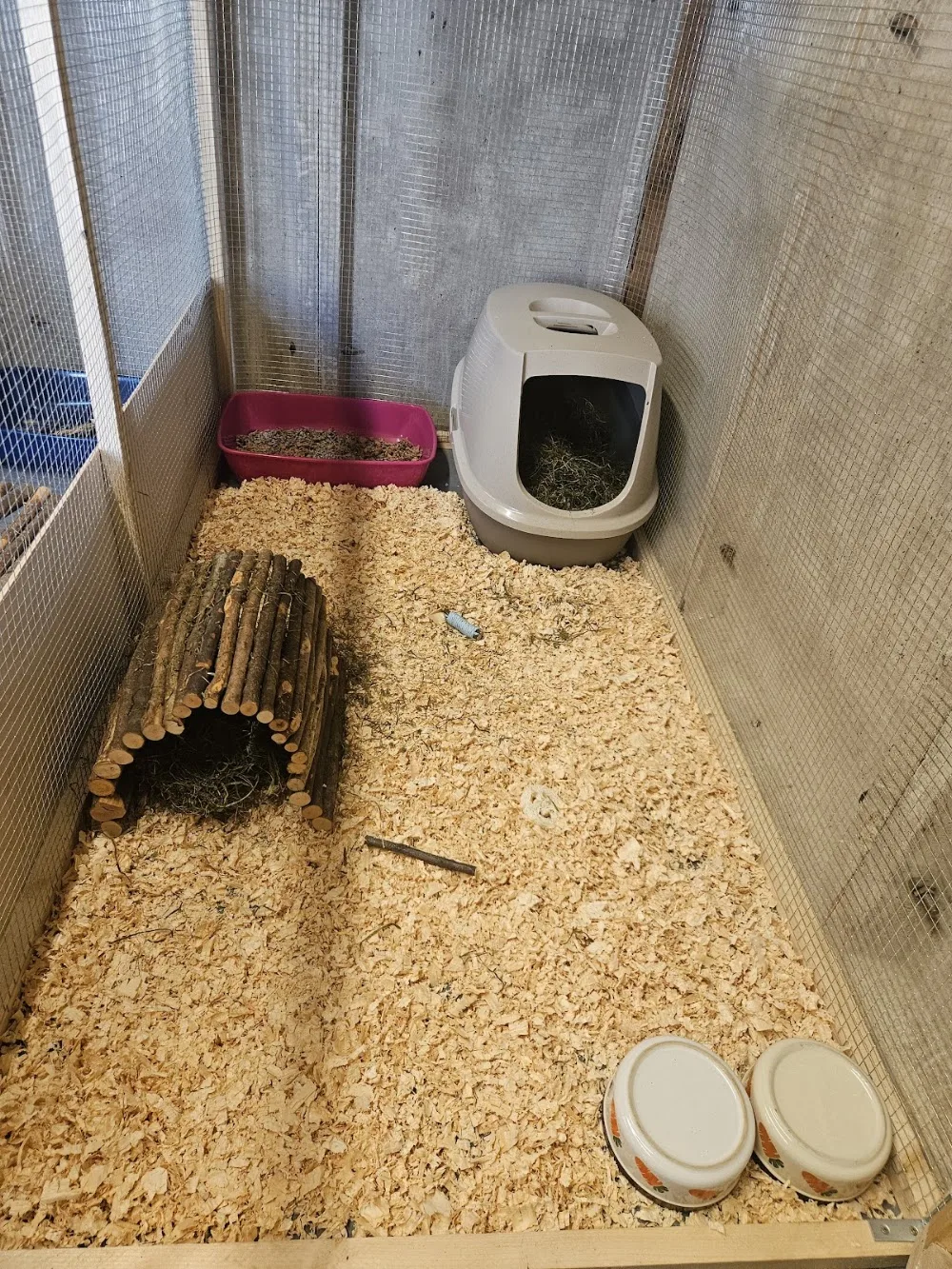 Tiny Tails Boarding - Halton pet otel görseli 3