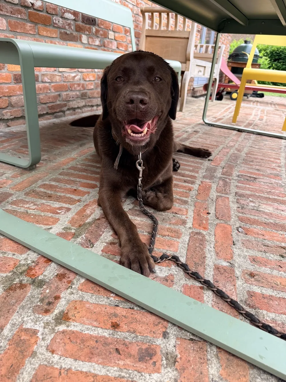 Haseldorfer Hundehotel - Hamburg pet otel