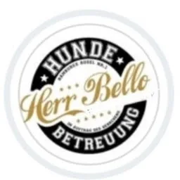 Hundebetreuung Strandrudel - Hamburg pet otel görseli 9