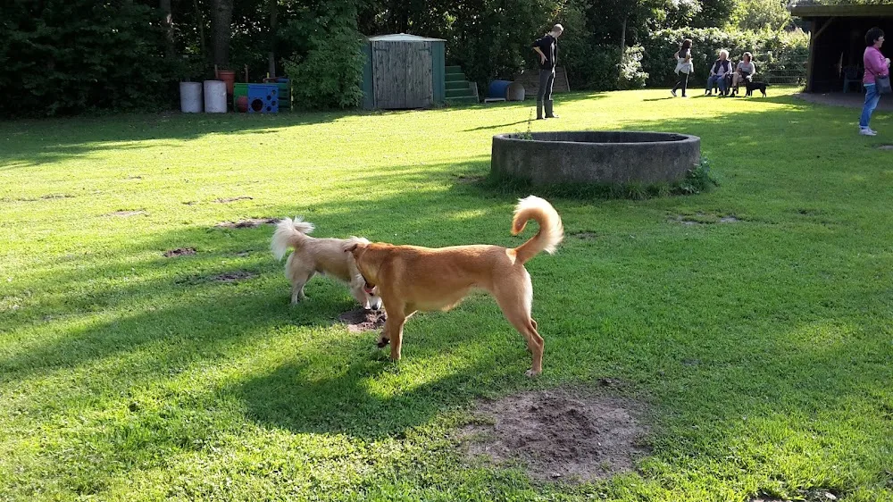 Hundedorf Rellingen - Hamburg pet otel görseli 4