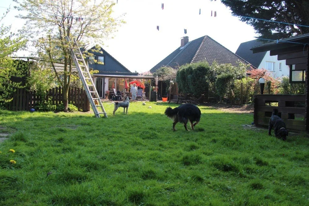 Hundetagesmutter Pension - Hamburg pet otel görseli 7