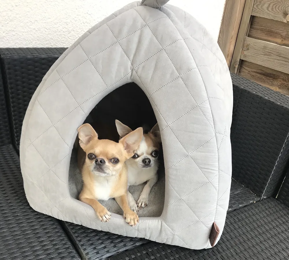 Tierpension Wegener - Hamburg pet otel görseli 3