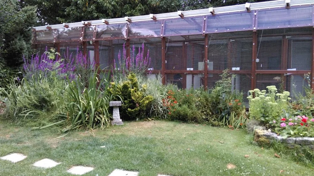 Bryony Cottage Cattery - Hampshire pet otel