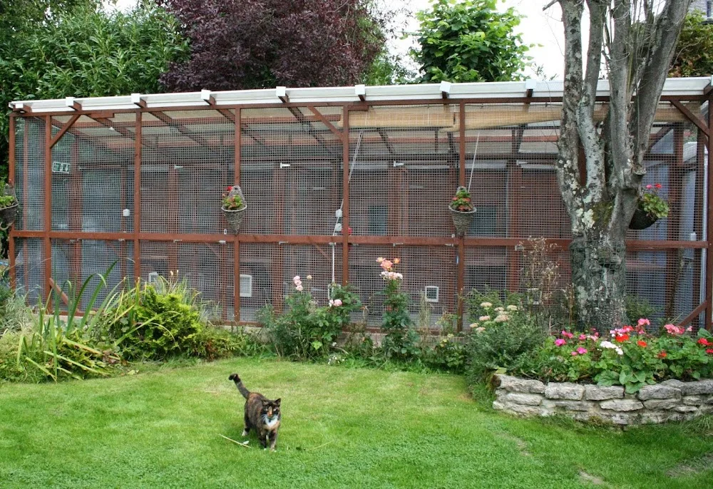 Bryony Cottage Cattery - Hampshire pet otel görseli 3