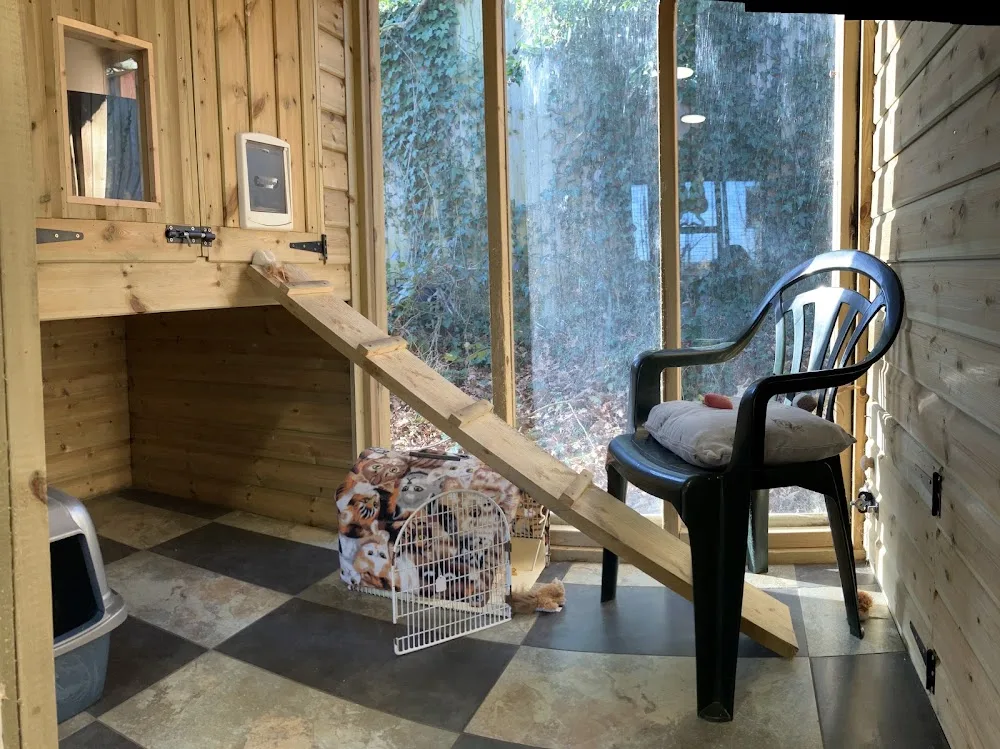 Chestnut Cattery - Hampshire pet otel