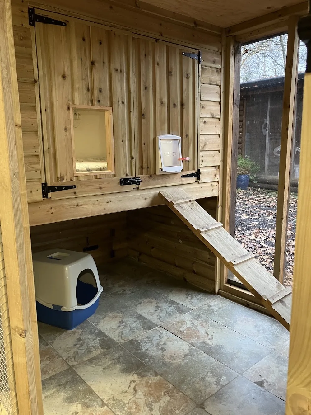 Chestnut Cattery - Hampshire pet otel görseli 3