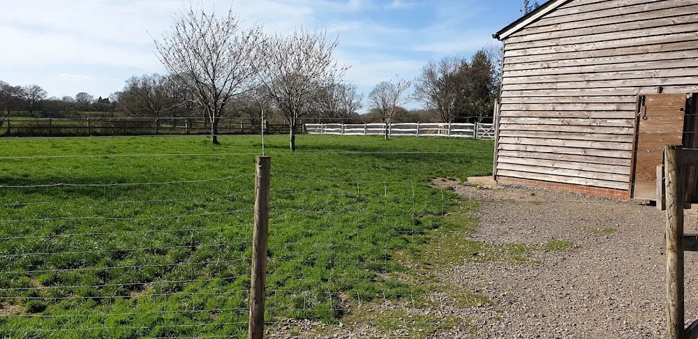 Copied Hall Kennels - Hampshire pet otel görseli 3