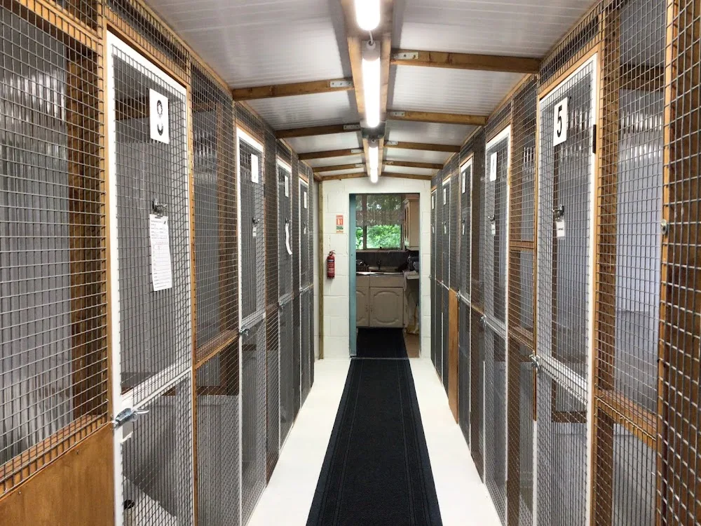 Hampton House Cattery - Hampshire pet otel görseli 2