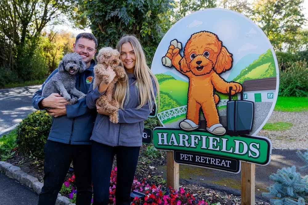 Harfields Pet Retreat - Hampshire pet otel
