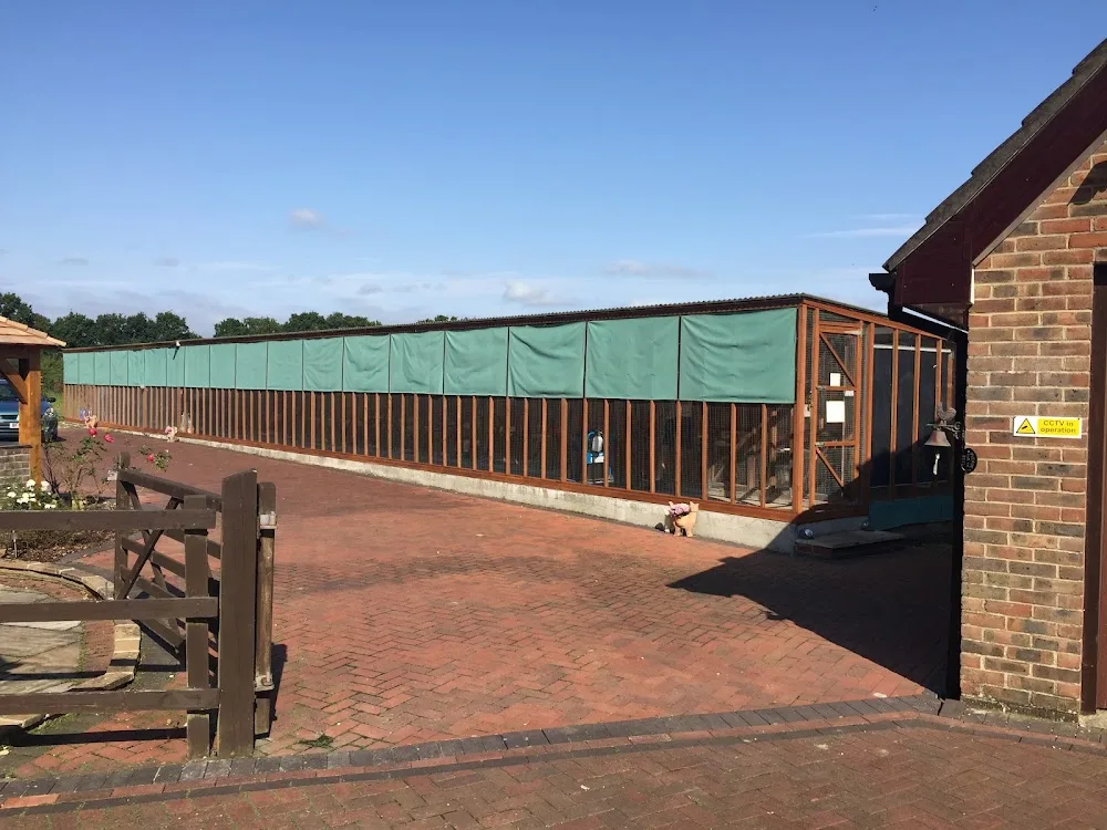 Harwyn Boarding Cattery - Hampshire pet otel görseli 3