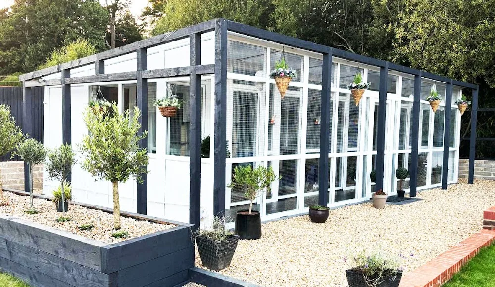 Longcroft Luxury Cat Hotel Bursledon / Hampshire - Hampshire pet otel görseli 2