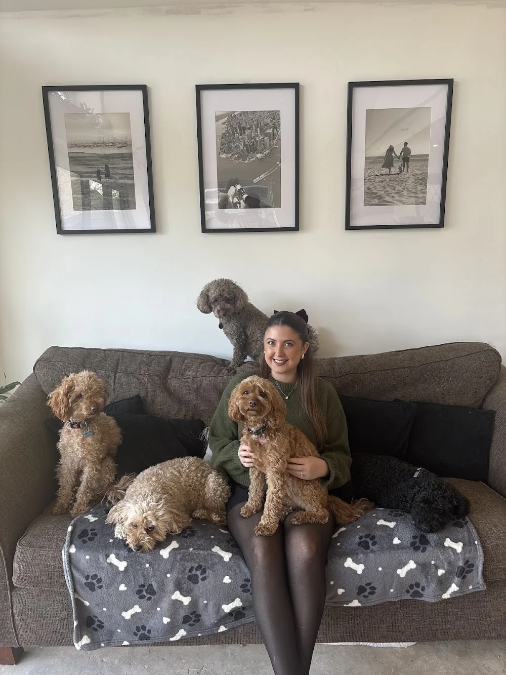 Lulu’s Doggy Day Care & Boarding - Hampshire pet otel