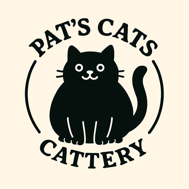 Pat's Cats Cattery - Hampshire pet otel görseli 3