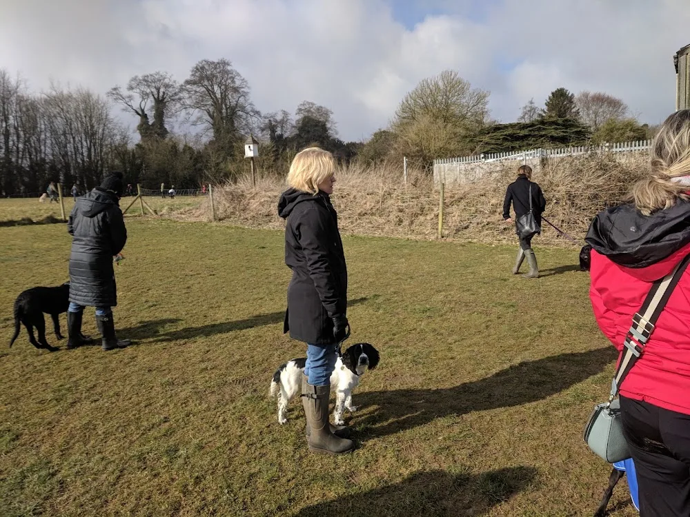 Scovellsway Training Kennels - Hampshire pet otel