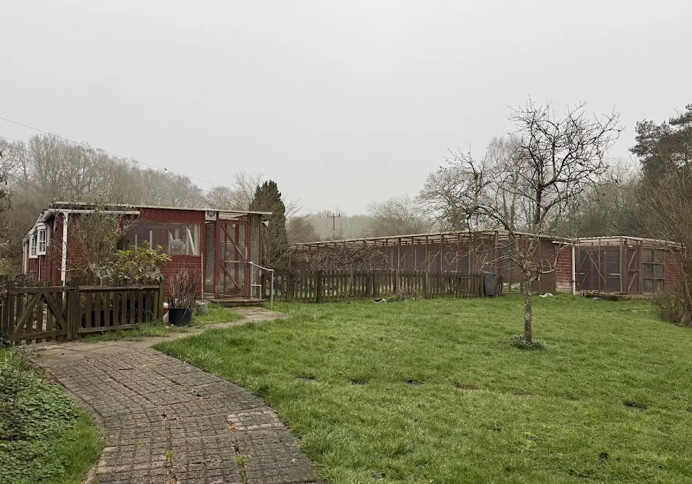 Three Meadows Cattery - Hampshire pet otel görseli 3