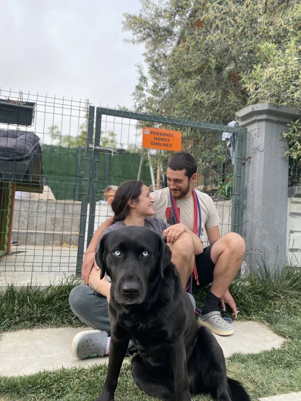 Han Köpek Oteli - Çanakkale pet otel görseli 2