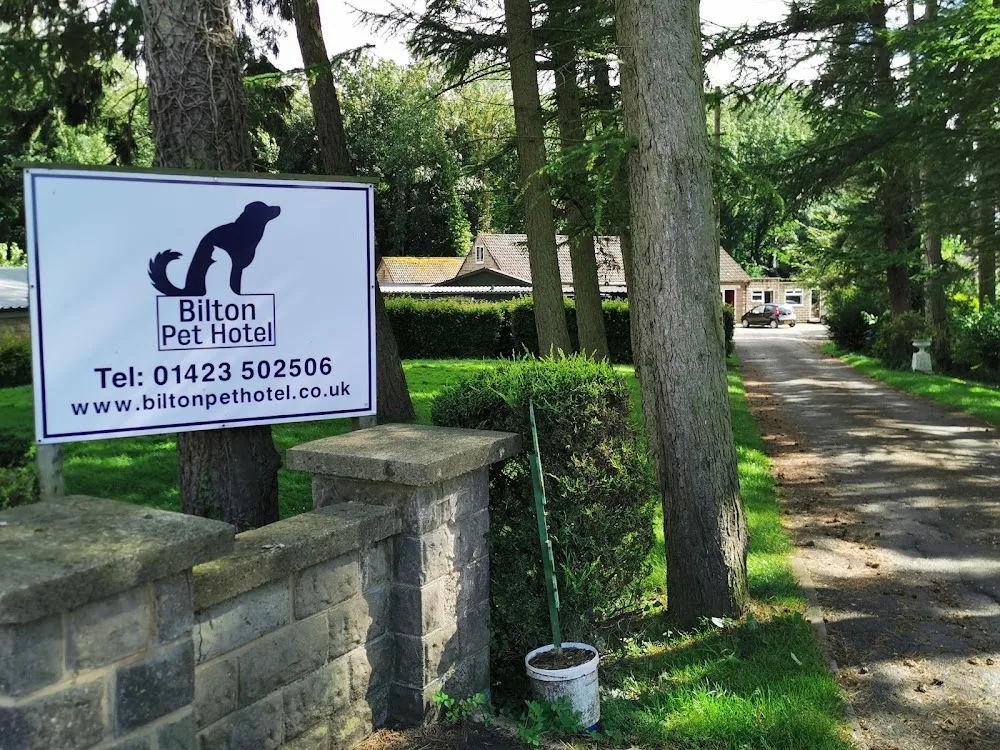 Bilton Pet Hotel - Harrogate pet otel görseli 3