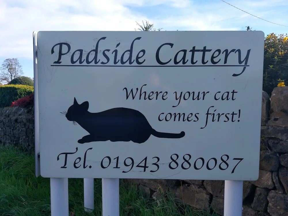 Padside Cattery - Harrogate pet otel