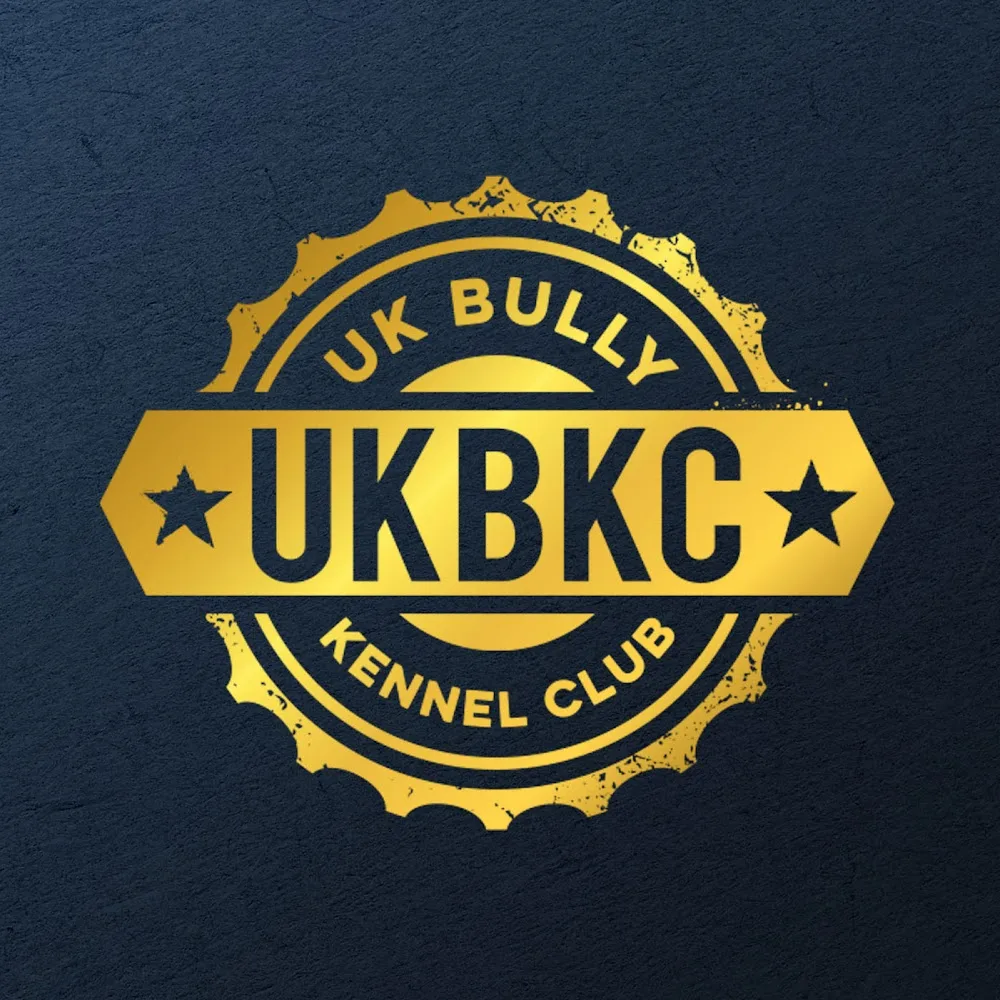 UK Bully Kennel Club, The Old Church, 55-57 Grove Road, Harrogate, HG1 5EP. - Harrogate pet otel