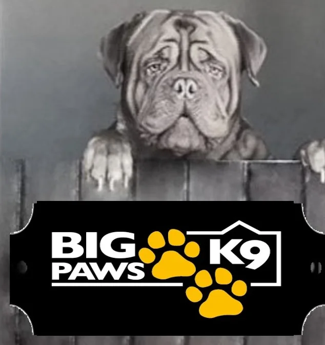 Big Paws K9 - Hartlepool pet otel