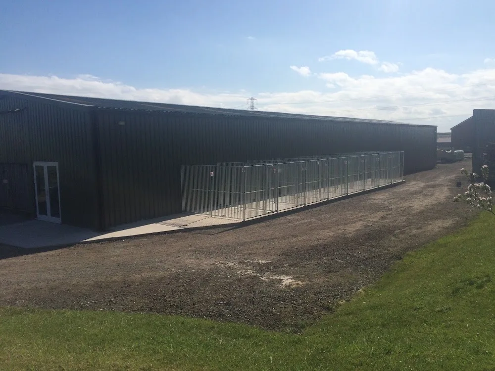 Poochy paradise Boarding Kennels, dog grooming - Hartlepool pet otel görseli 3