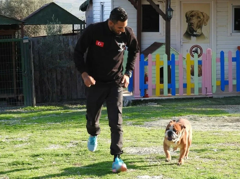 HATAY KÖPEK EGİTİMİ VE HOTELİ - Hatay pet otel
