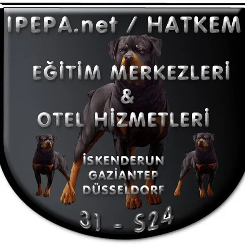 HATAY KÖPEK EGİTİMİ VE HOTELİ - Hatay pet otel görseli 5