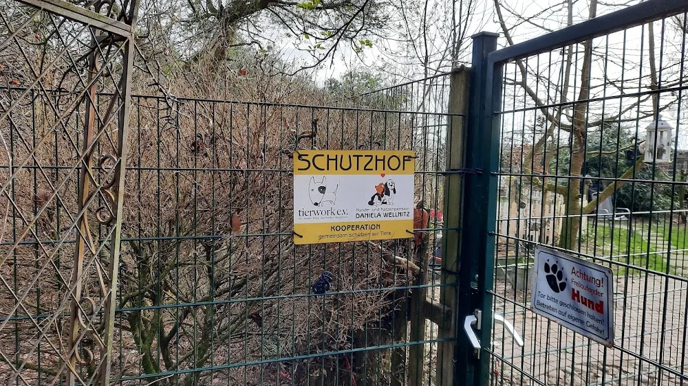 Hunde- und Katzenpension Daniela Wellnitz - Hatten pet otel görseli 3